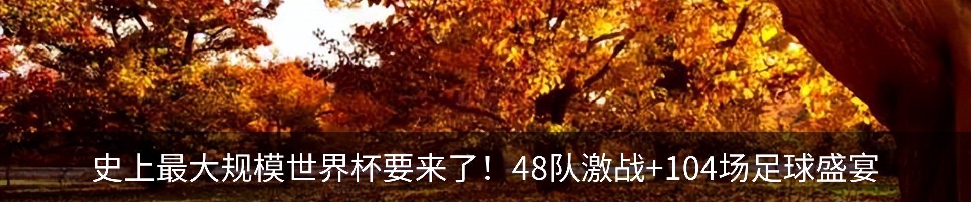 内页banner