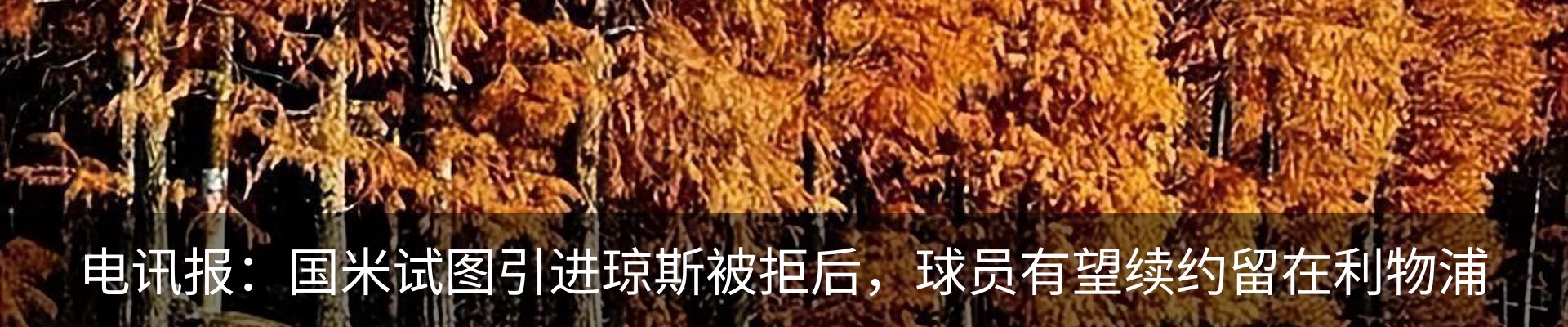 内页banner
