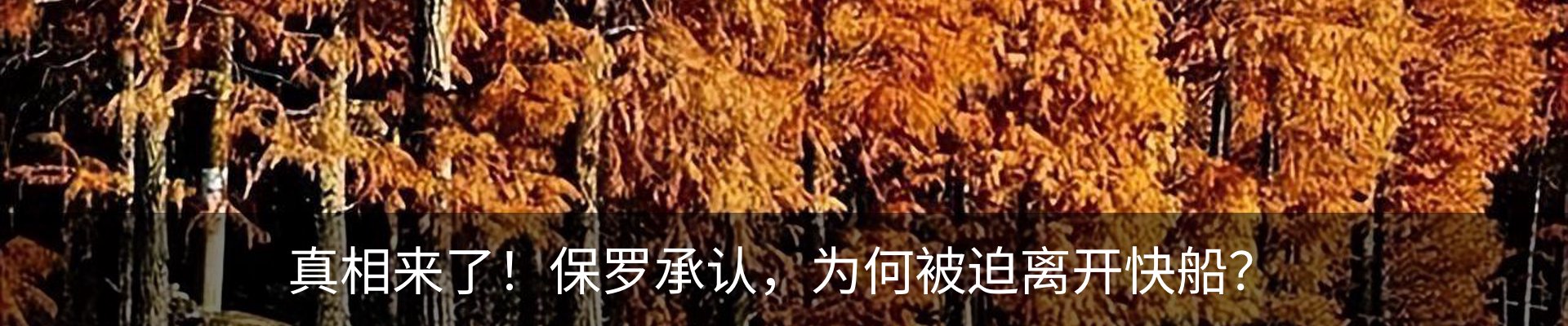 内页banner