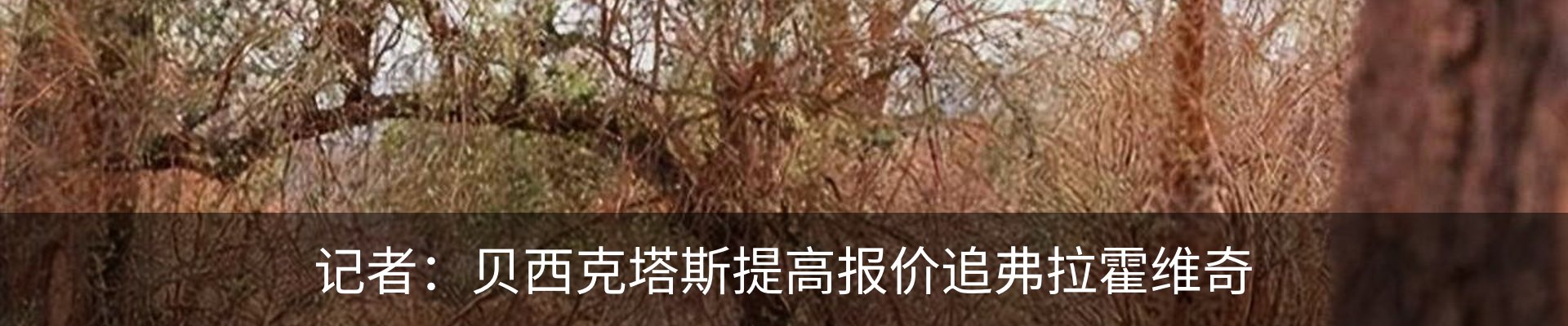 内页banner